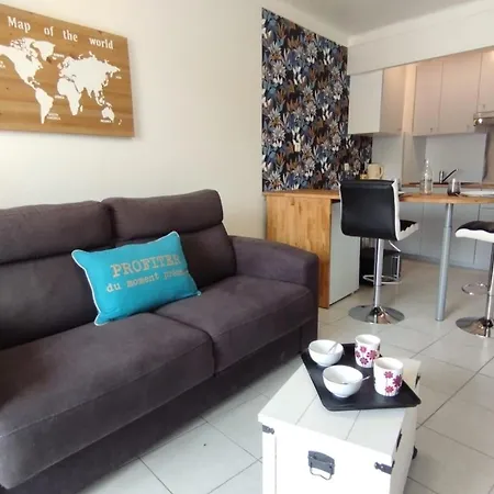 Apartment 20' A Pieds Palais Wifi *